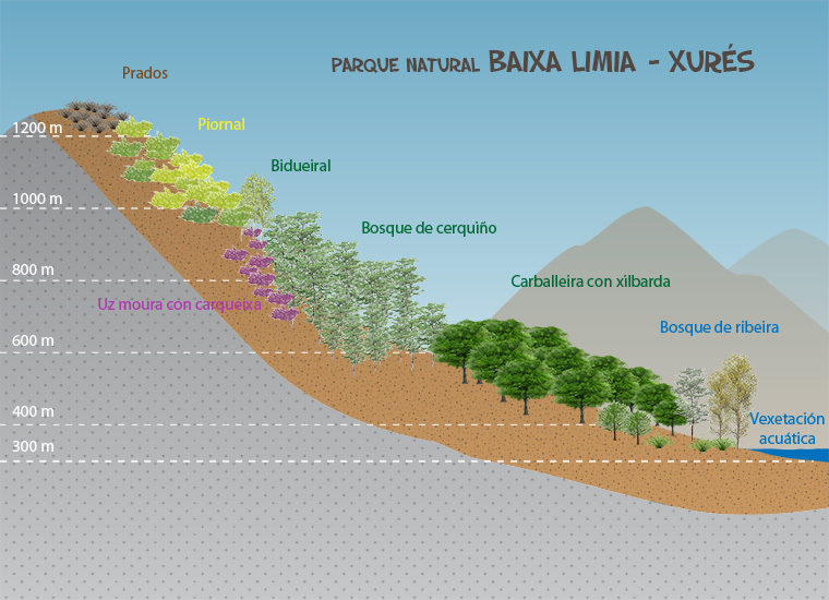 Parque Natural do Xurés