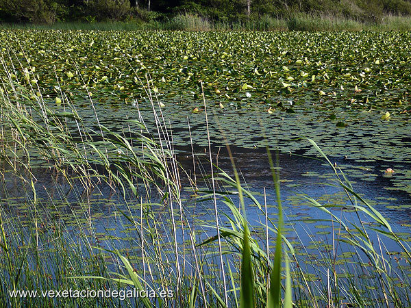 Lagoa de Doniños