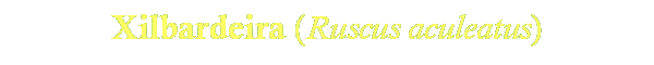 Xilbardeira
