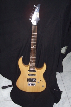 Guitarra eléctrica