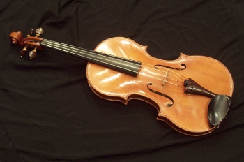 Viola