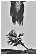 Fotografía Artística.