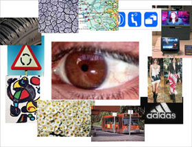 Imgenes que vers en esta unidad.