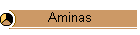 Aminas