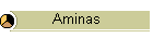 Aminas