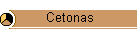 Cetonas