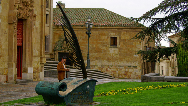Conocimiento de la lengua