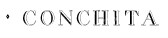 Conchita