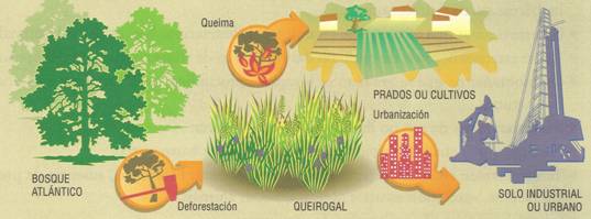 secuencia de intervencion