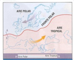 fronte polar