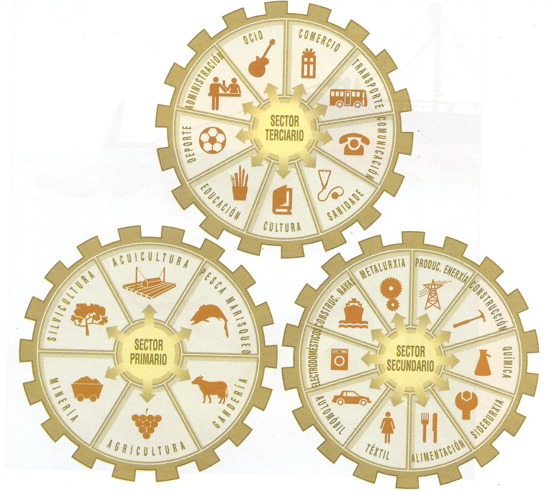 Complementariedade da actividade humana