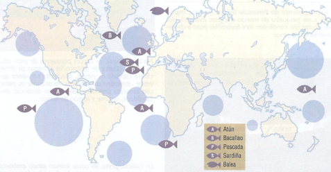 Mapa de distribución pesqueira: zonas e especies