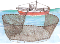 Traíña ou cerco de xareta.