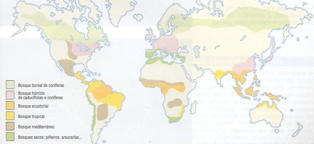 Mapa forestal mundial Mapa forestal mundial