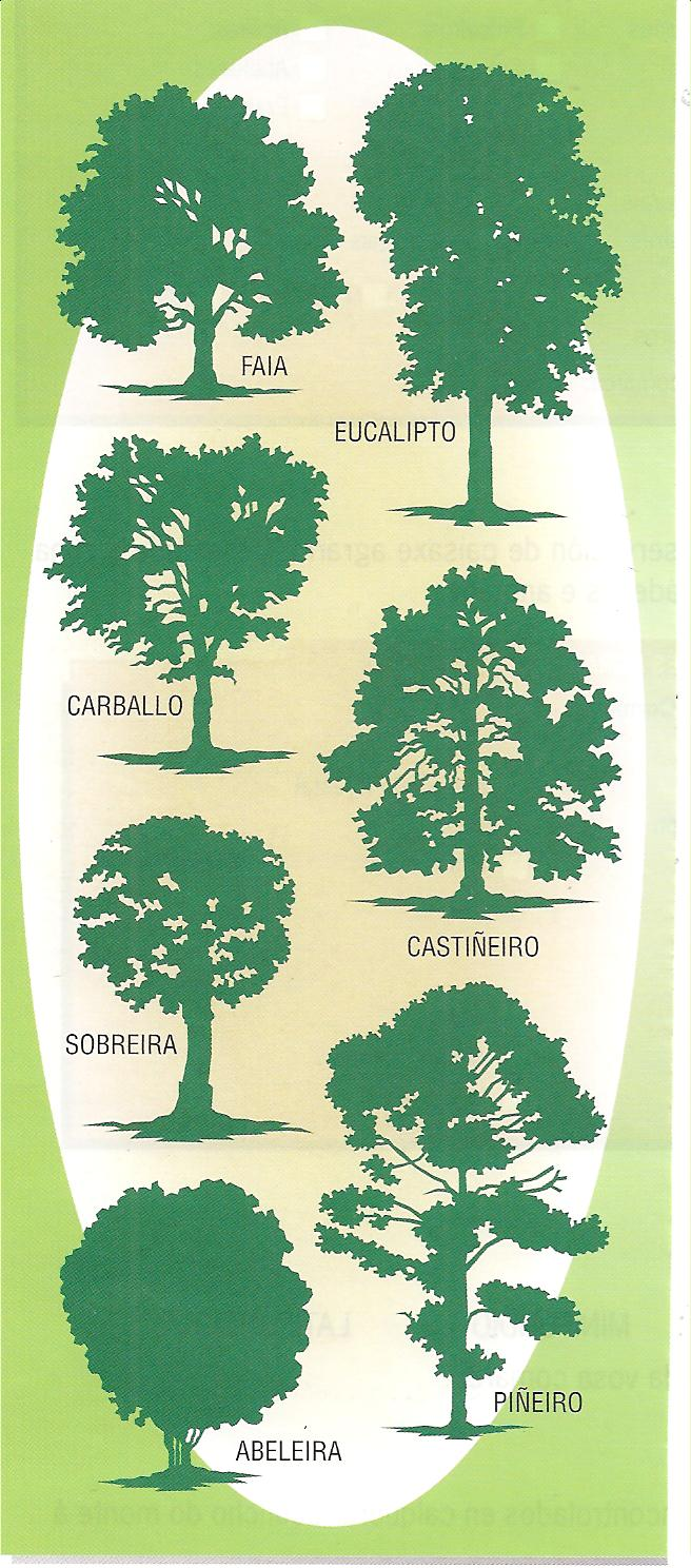 Siluetas de árbores de Galicia