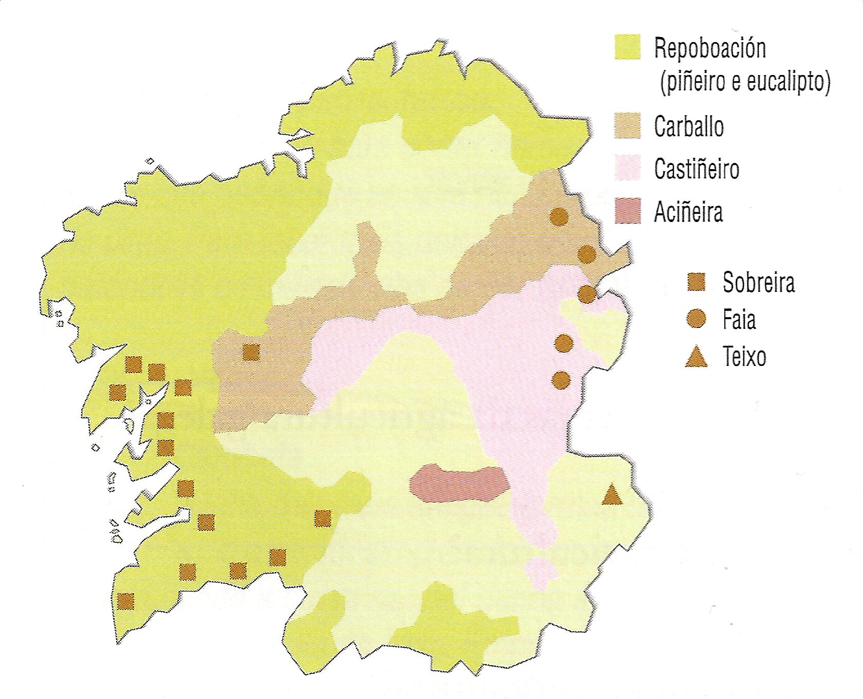 Mapa forestal de Galicia
