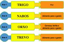 Sistema Norfolk Sistema Norfolk