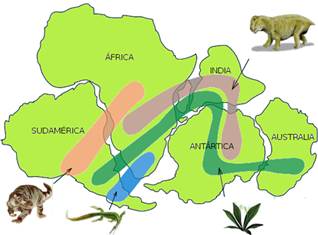 Probas da deriva continental