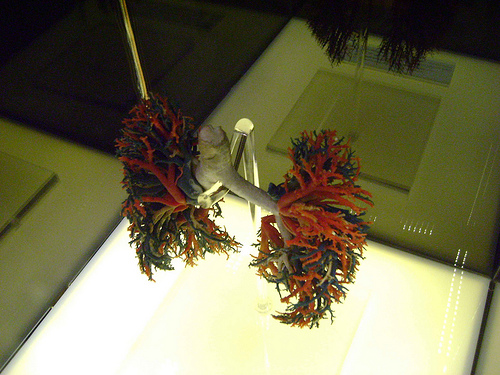 Érase una vez el cuerpo humano - Parque Guanajuato Bicentenario 033