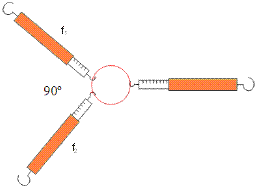 dous dinamómetros en ángulo recto