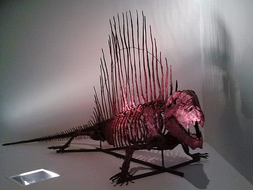 "Tiene espinas el rosal"