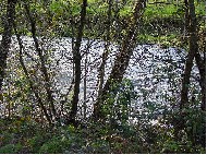 Río Ulla . Boqueixón 