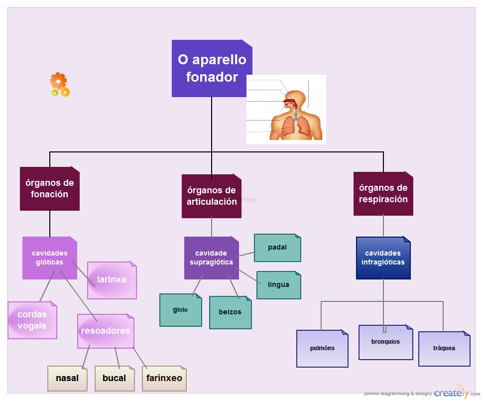 esquema do aparelo fonador