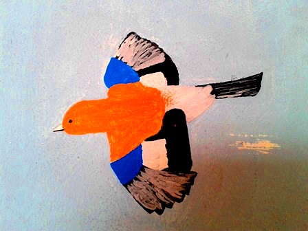 paxarín paxariño de cores