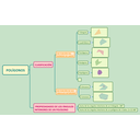 clasificación polígonos