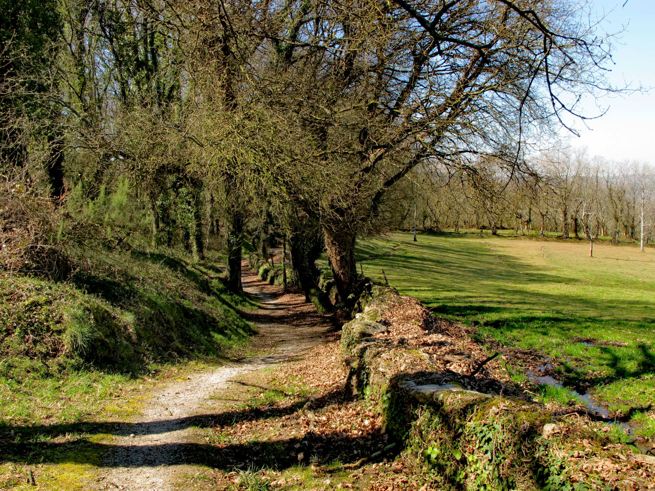 O Camiño ó seu paso por Lugo