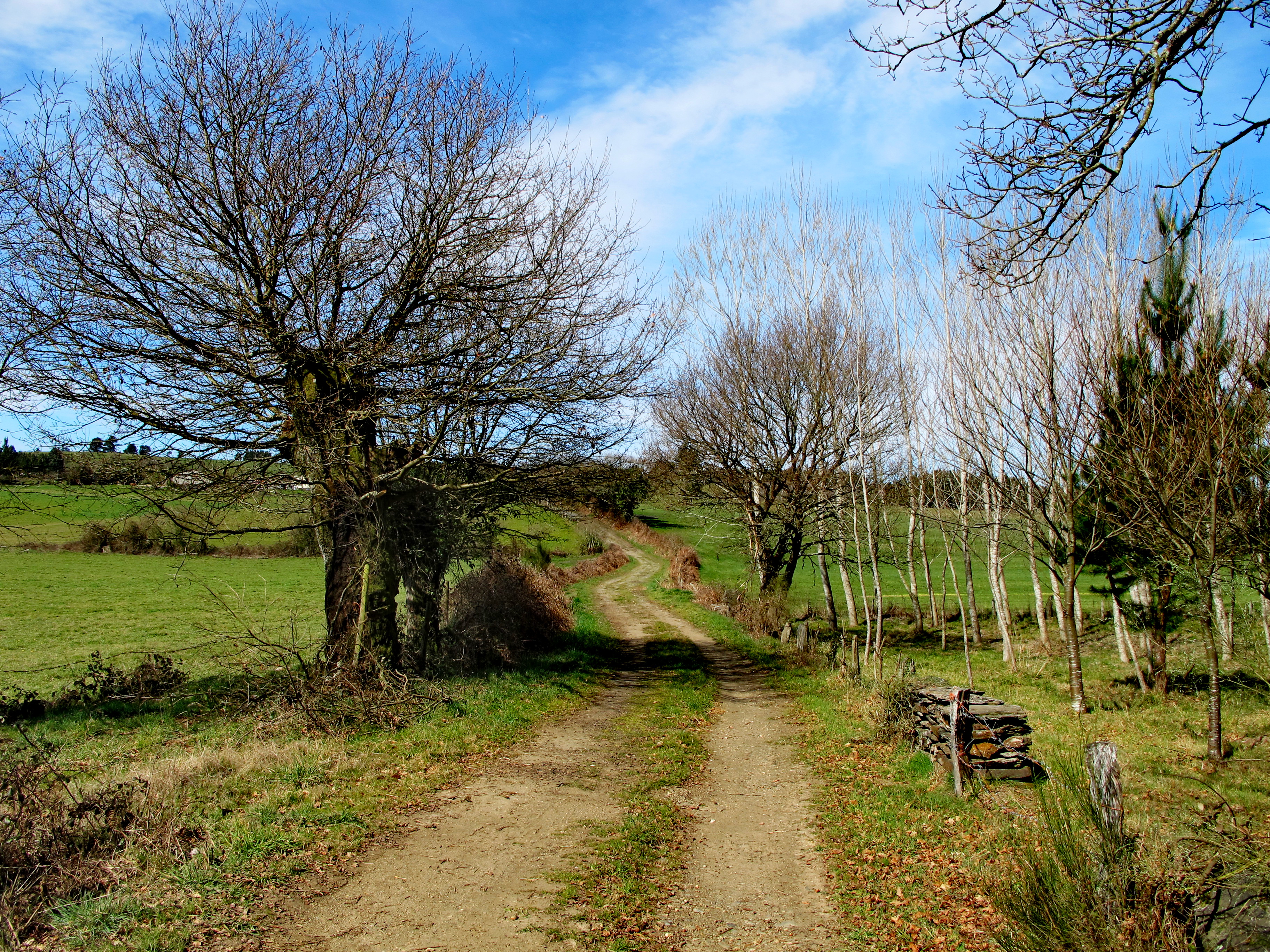 O Camiño o seu paso por Friol