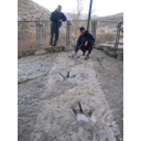 Icnitas en Enciso, La Rioja