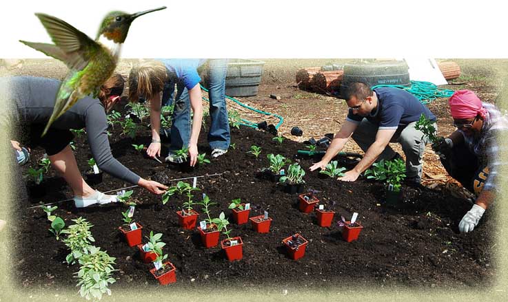 Clica na imaxe para ir  AULA VIRTUAL