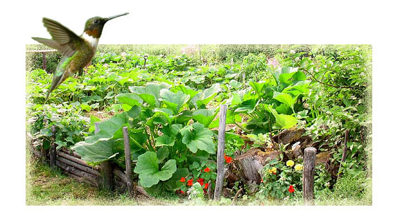 Clica na imaxe para ir  AULA VIRTUAL