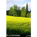 LE PRINTEMPS