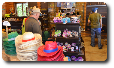 Consumo responsábel