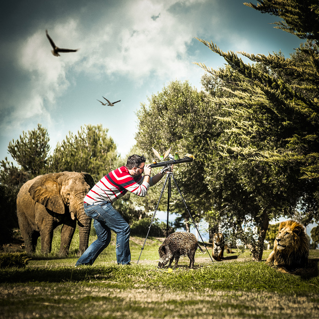 Composición fotográfica de observador de animais