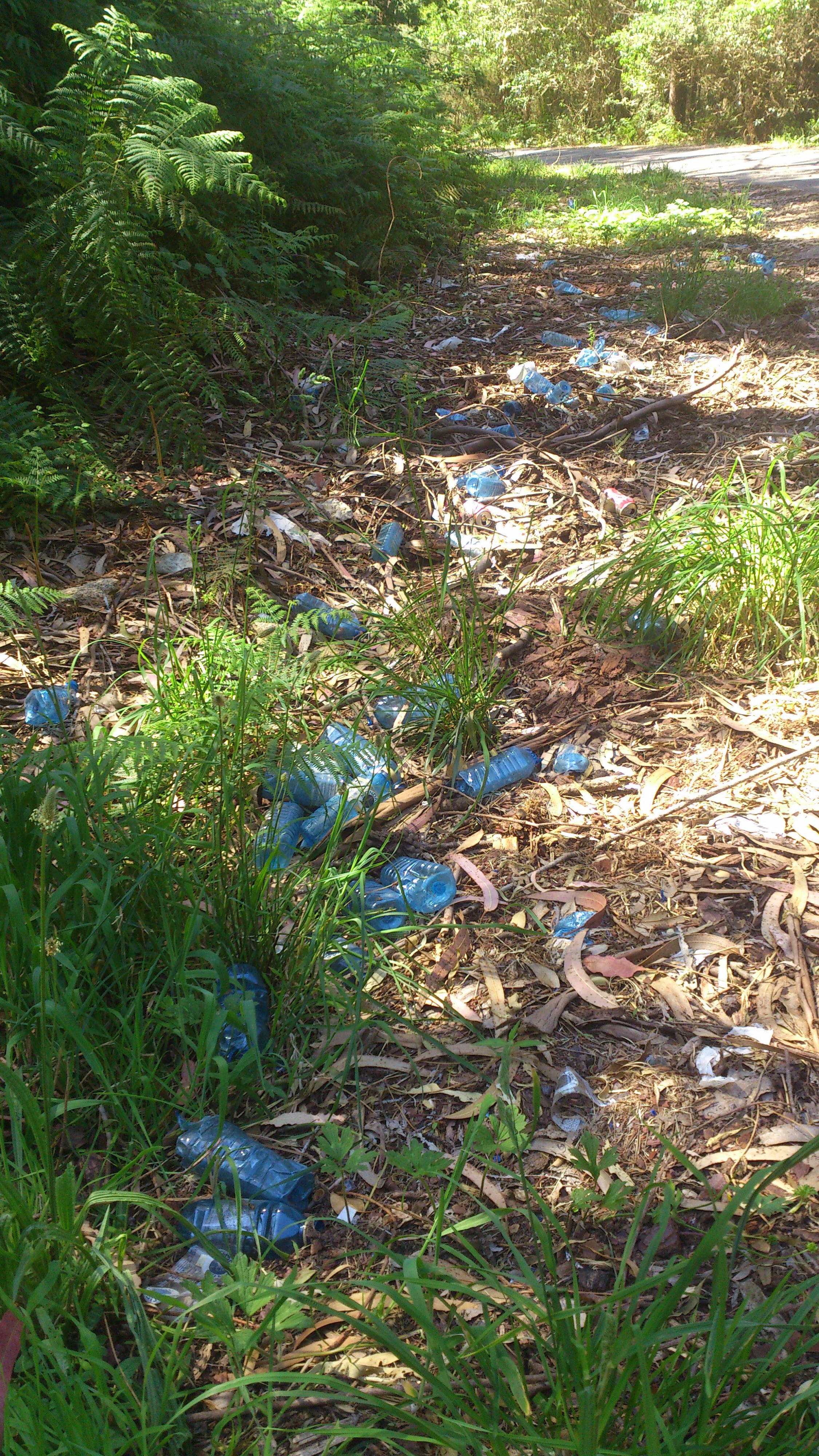 Fotografía de lixo no Camiño Fisterra