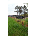 Silos. Marcos Perille. CC BY-SA