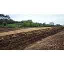 Campos arados. Marcos Perille. CC BY-SA