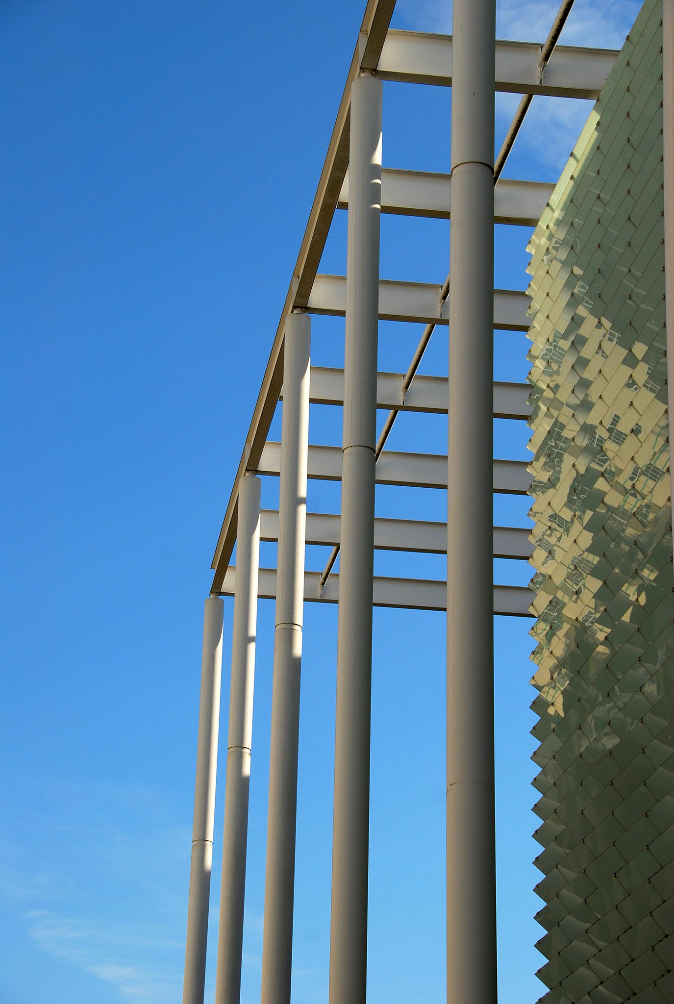 Foto de unas columnas esbeltas de acero.