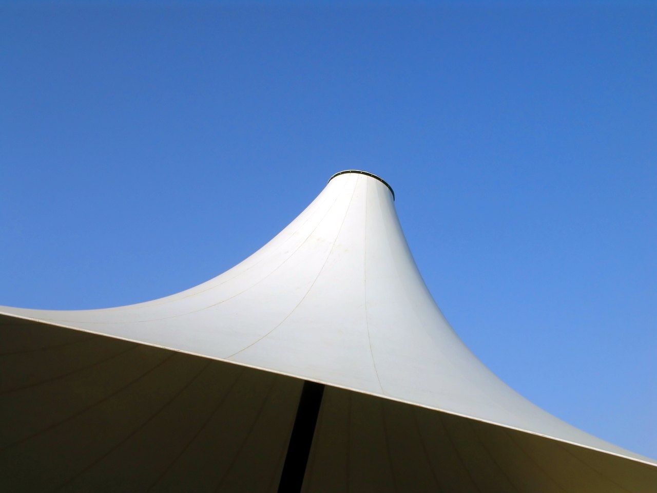 Foto de detalle de una carpa.