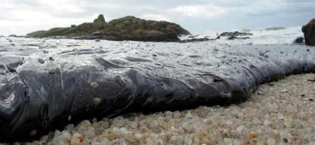 Chapapote Prestige Chapapote Prestige