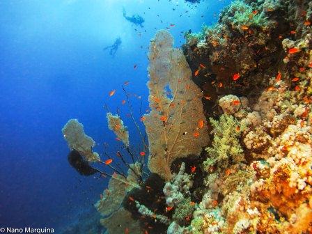 Mar Vermello Mar Vermello