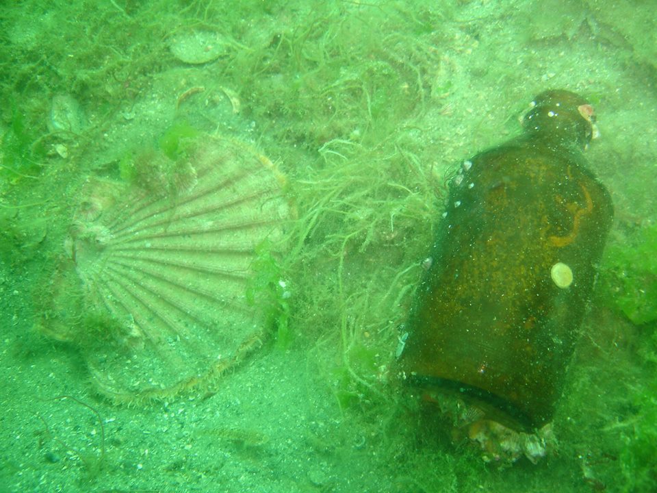 Botella Botella fondo