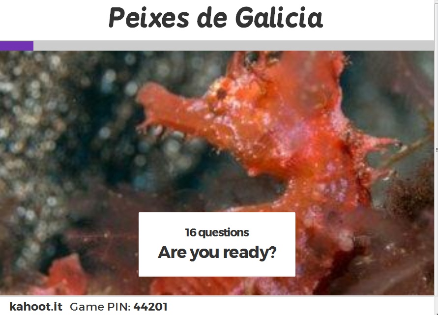 Xogo peixes Xogo peixes