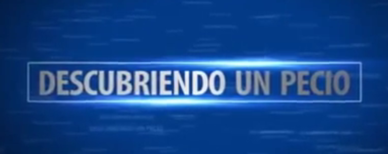 Mergullando Mergullando