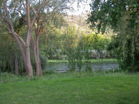 Biodiversidade Biodiversidade