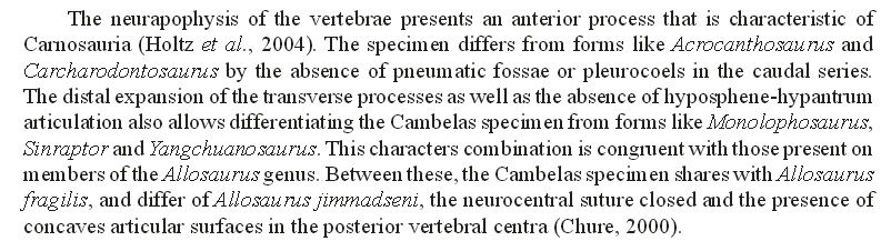 Texto inglés Texto inglés