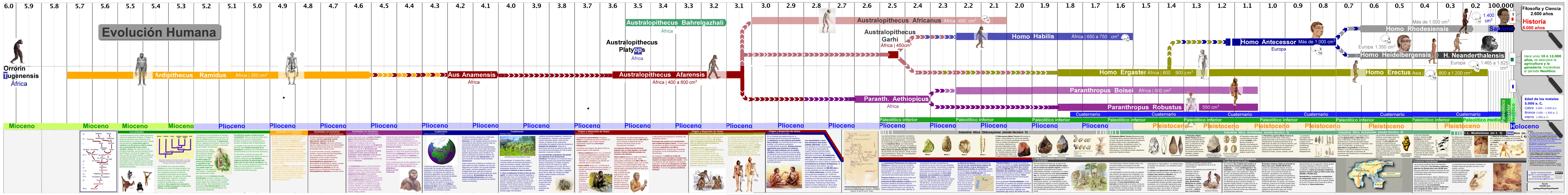 Tabla cronológica de la filogénesis humana